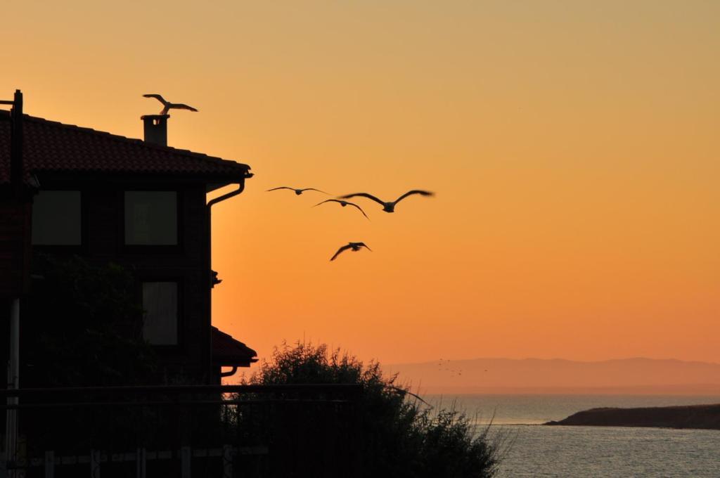 Deep Blue Guest House Sozopol Luaran gambar